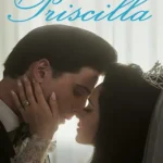 priscilla مترجم